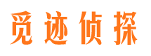 宁乡市侦探调查公司